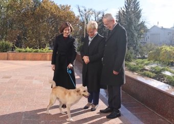 Megharapta az osztrák államfőt a moldovai elnök sánta kutyája