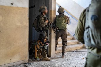 Hamász-terroristák százait fogták el egy gázai kórházban – Az EU Izraelre gyakorolna nyomást