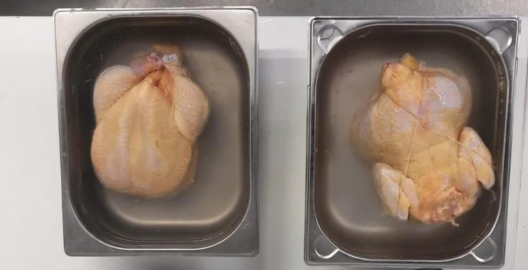 Sárgára festett, „szalmonellával töltött” csirkékre figyelmeztet a fogyasztóvédelem elnöke