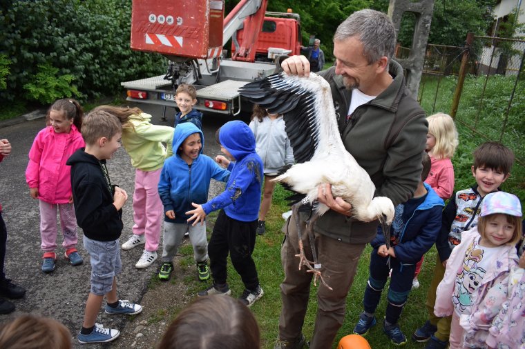 „Ajándékcsomagot” kapott két kisgyerek a Magyarfenesen meggyűrűzött gólyák egyikétől