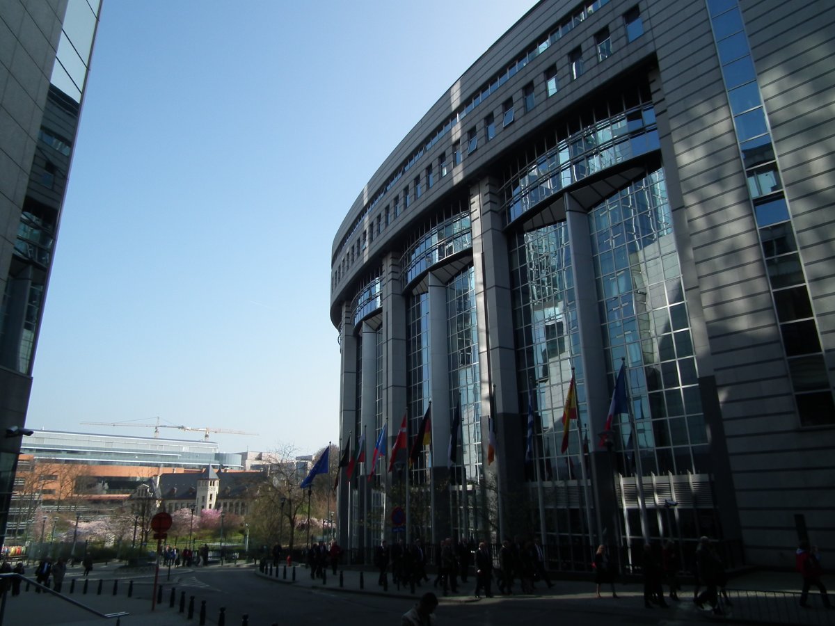 Az Európai Parlamentbe érkezik a legtöbb látogató •  Fotó: Makkay József
