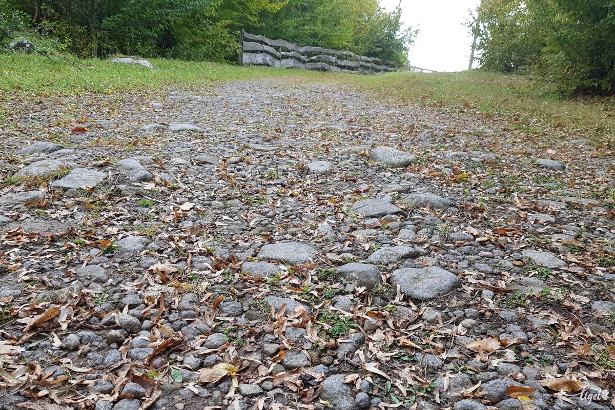 Hengerelt kővel borított állami út maradványai a Hargitán •  Fotó: Rédai Attila