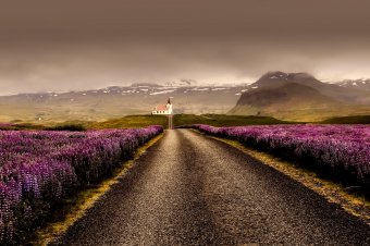 Kietlenségében csodálatos, egyszerre szelíd és durva: Izland