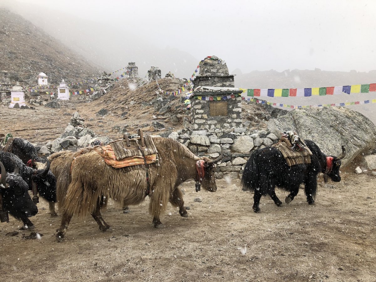 Jakcsorda az Everesten elhunyt hegymászók emlékhelyénél •  Fotó: Pataki Melinda személyes archívuma