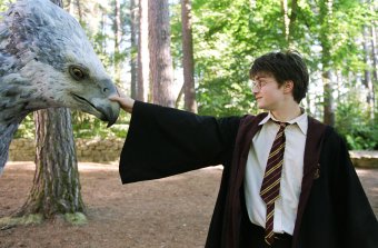 Elvarázsolta a nézőket is – húsz éve jött létre a Harry Potter filmes univerzum