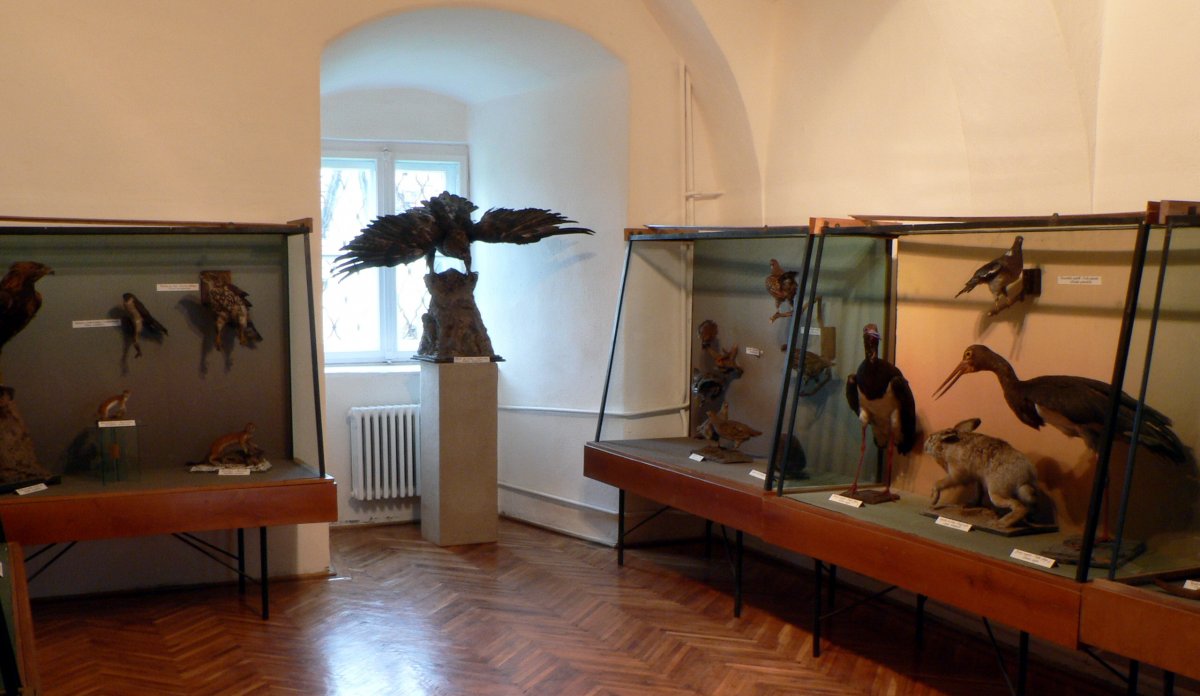 Kiállítás 2005-ben a múzeumban •  Fotó: A Csíki Székely Múzeum tulajdona