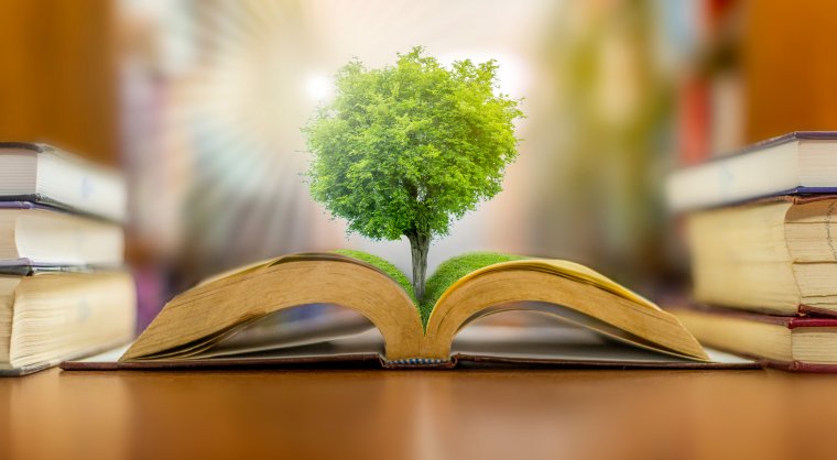 Zöld mesekönyvek – Tanuljuk együtt a környezetvédelmet