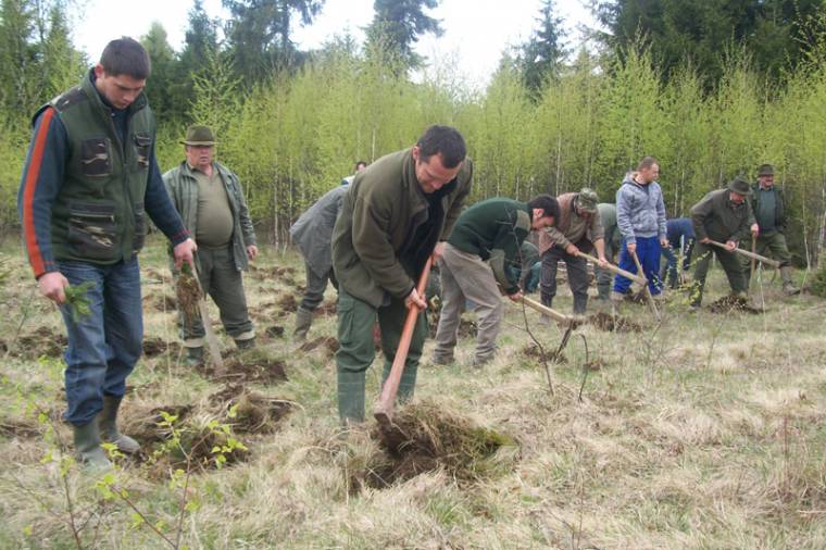 Erdősítési program: várják a pályá­zókat