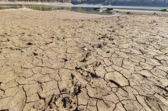 Egyre több tó szárad ki a Duna-deltában – veszélyben a biodiverzitás