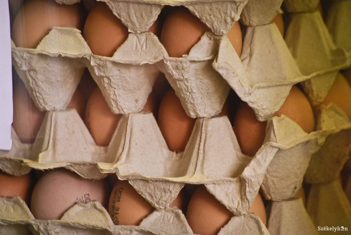 Tízezernél több, szalmonellával fertőzött tojást vontak vissza Háromszéken
