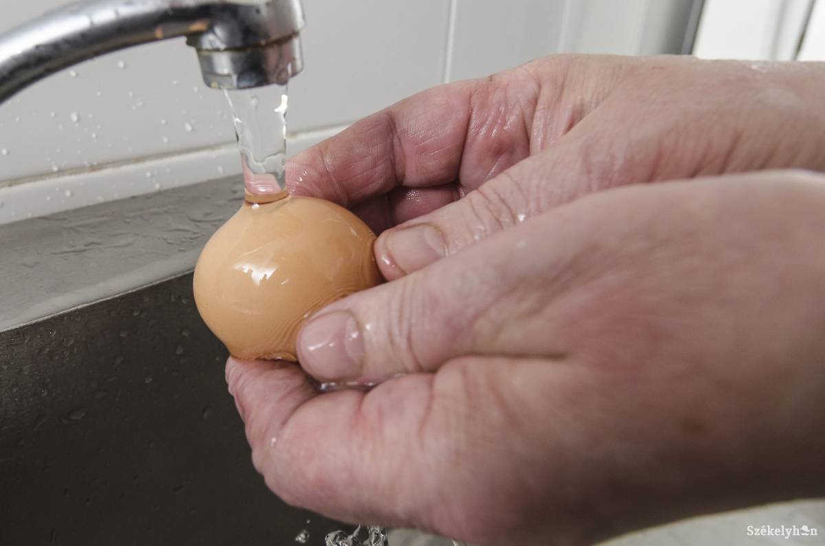 Olcsóbb tojást kérnek: a farmok árat csökkentettek, de a boltok nem