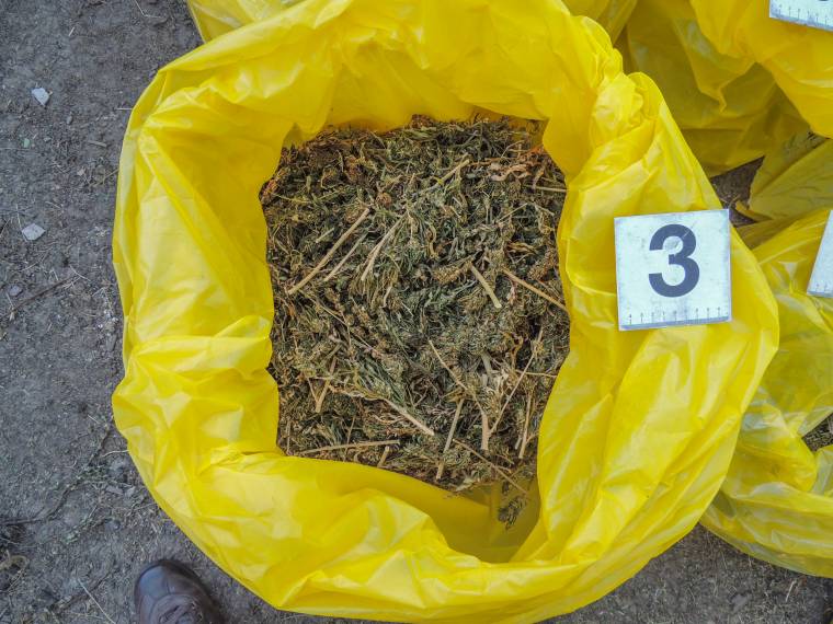 Kovászna: drogra bukkantak egy vonaton felejtett táskában