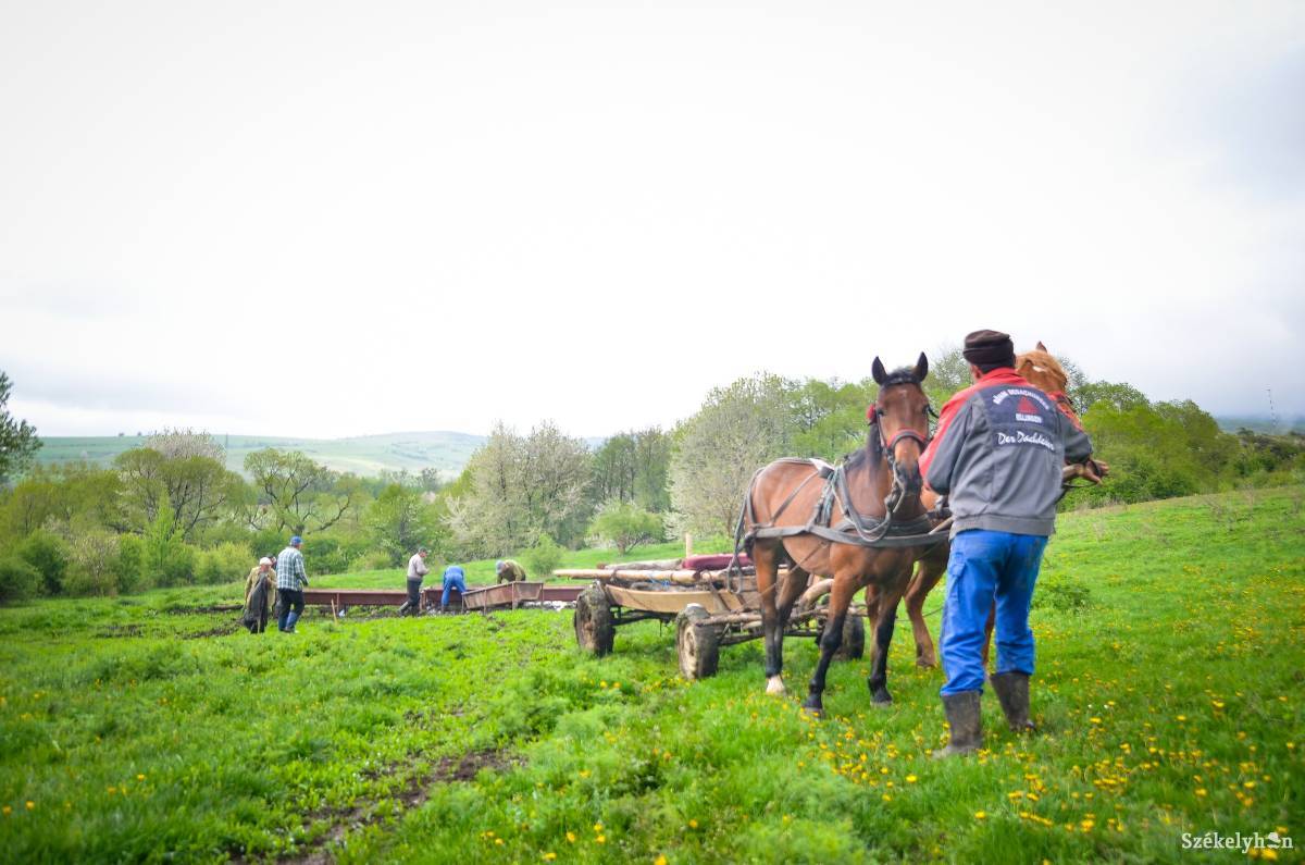 Idén előre megkapják mezőgazdasági támogatásaikat a romániai gazdák