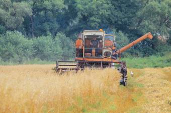 Meghaladja a 10 millió tonnát az idei gabonatermés – közölte Petre Daea mezőgazdasági miniszter
