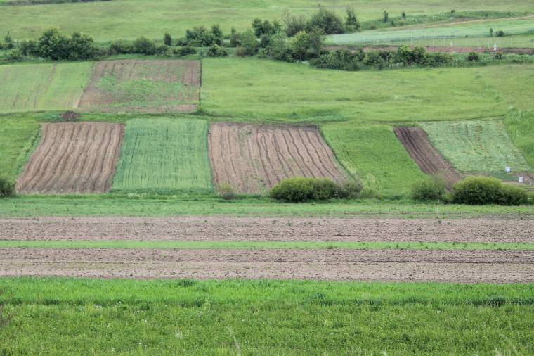 Románia mezőgazdasági területeinek közel fele külföldi tulajdonba került?
