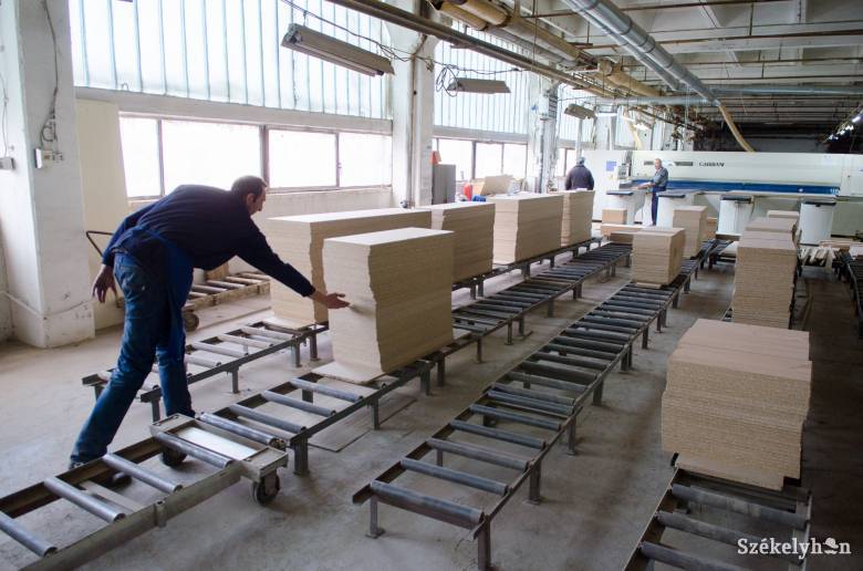 A bútorgyártókat az ág is húzza: történelmi csúcson a faanyag ára, bajban a feldolgozók