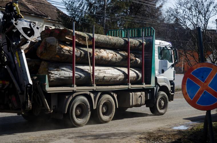 Féléves mérleg: 35 ezer köbméter elkobzott fa, 16 millió lejnyi bírság