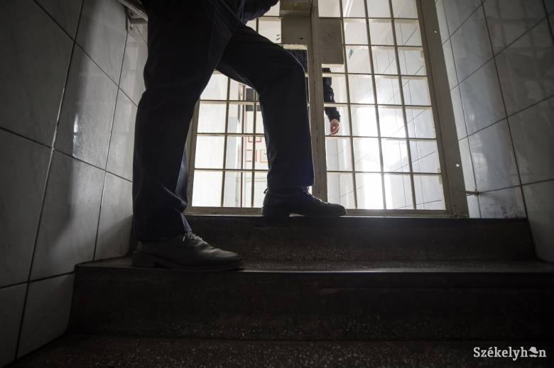 Iohannis kihirdette a cigányellenességet börtönnel büntető törvényt