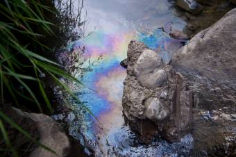 Szejke-patak: még takarítják az olajszennyezés nyomait