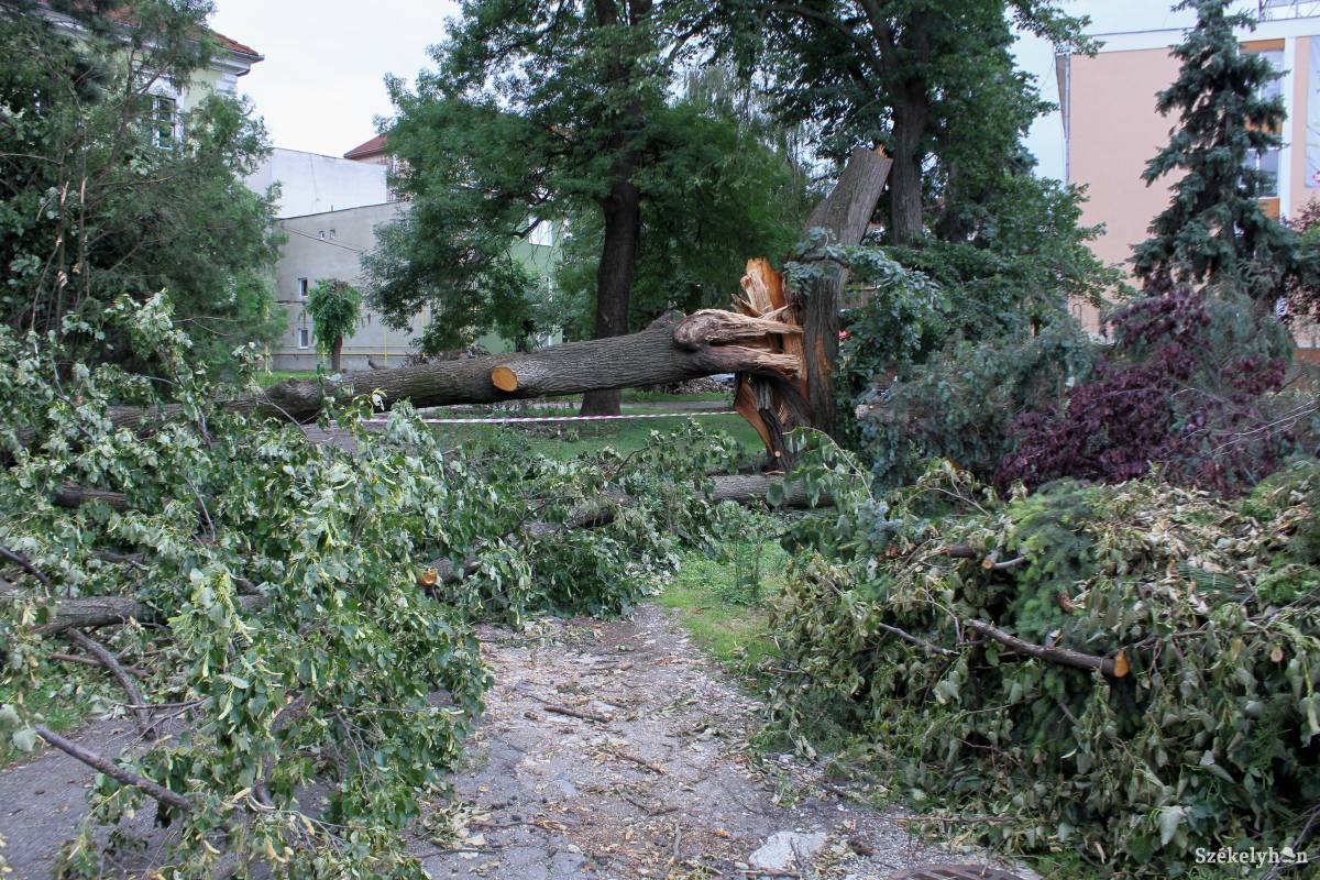 A vihar nyomait próbálta eltakarítani, leesett egy fáról a székelyudvarhelyi kórház karbantartója