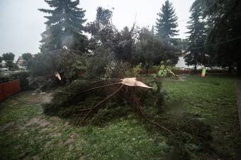 Fákat döntött ki, halálos közlekedési balesetet okozott az erős szél
