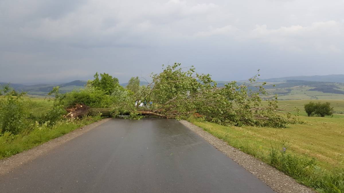 Nem kímélte Udvarhelyszéket a péntek délutáni vihar – fák dőltek az utakra