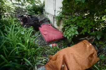 Hajléktalanok és háztartási hulladék a sírkertben