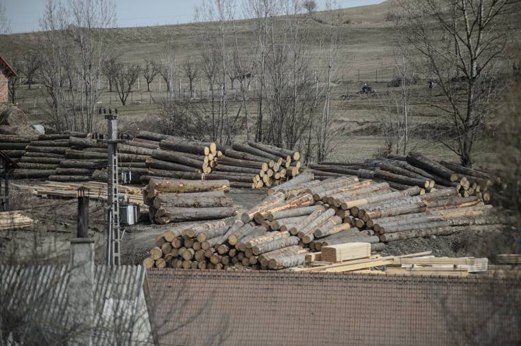 Fakitermelő cégek tevékenységét függesztette fel a környezetőrség Kovászna megyében