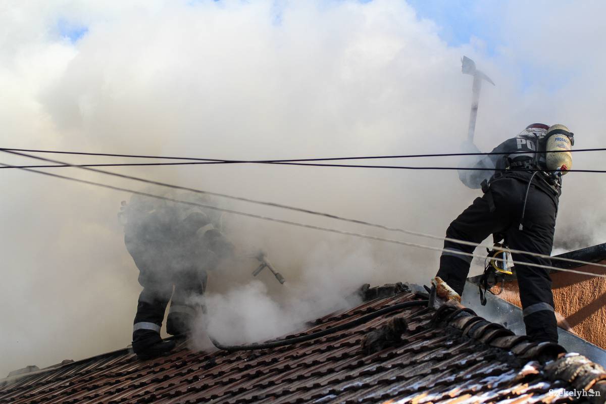 Országszerte több mint ezerszer avatkoztak be a tűzoltók