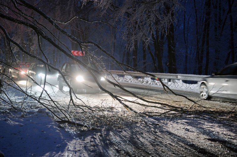 Fákat döntött az utakra a vizes hó – sürgősségi beavatkozásokra volt szükség