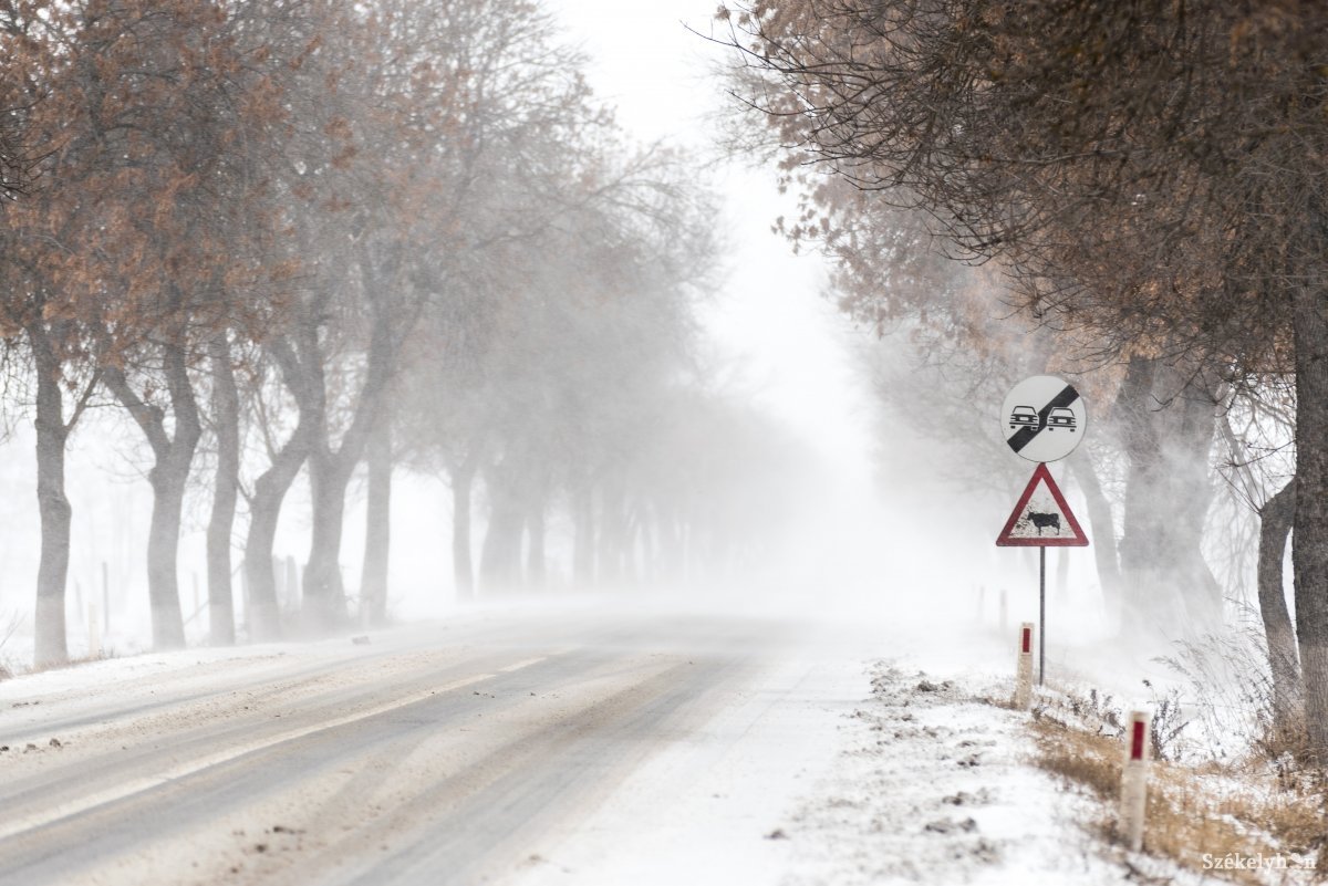 Megálljt parancsoló hó: két napig nem lesz tanítás a Temes megyei iskolákban