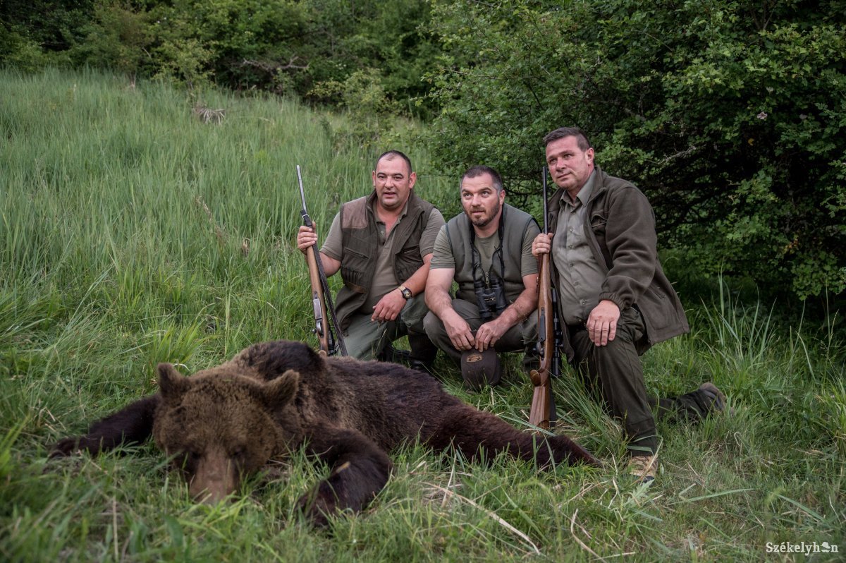 Hatékonynak tartják a vadászati törvényt – kárpótolja az állam a vadállatok áldozatait, illetve azok hozzátartozóit