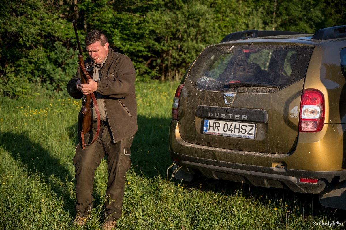 Hat puskagolyó, tizenhárom fotó – képekben mutatjuk az udvarhelyszéki medve kilövését