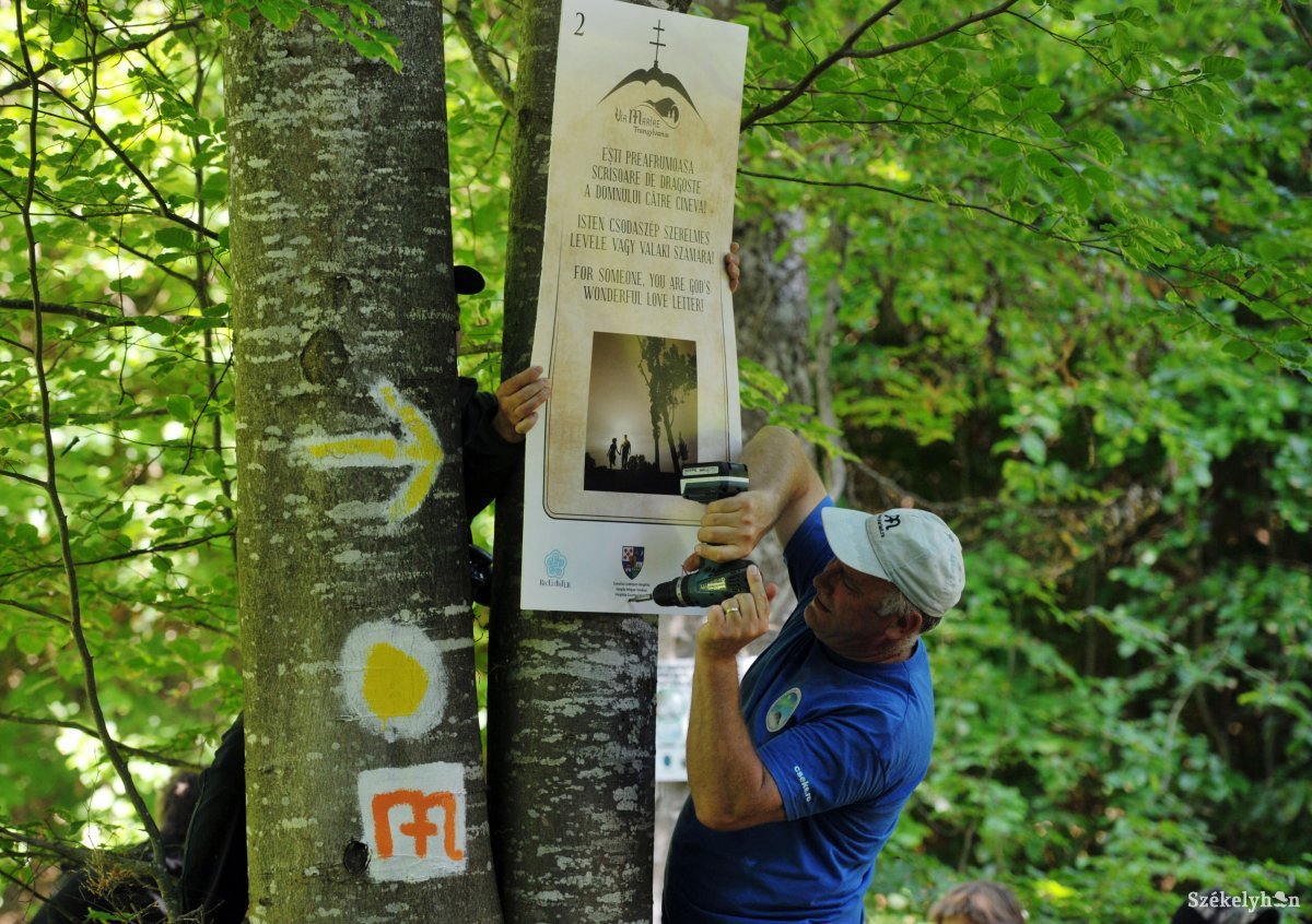 Molnár Sándor, a Mária-út Egyesület elnöke erősít fel egy táblát egy fára. A tábla Böjte atya egyik idézetét tartalmazza •  Fotó: Beliczay László