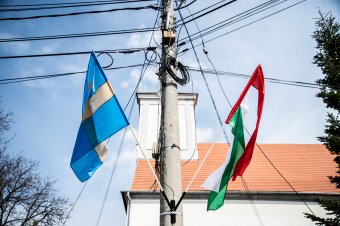A magyar nemzetiség alkategóriájaként jelölhető be a székely identitás a népszámláláson, a csángók máshova kerültek