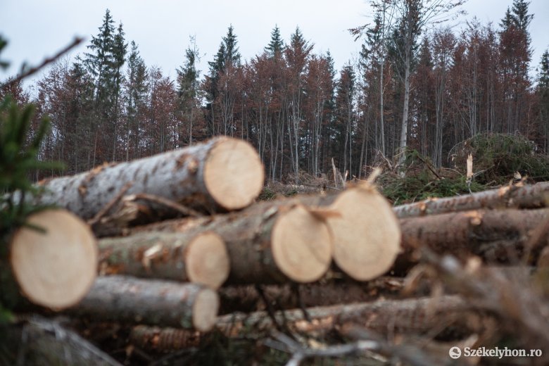 Az erdőirtások visszaszorítását célzó javaslatokat fogadott el az Európai Bizottság