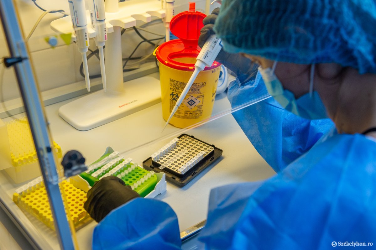 Székelyföldön tizenhét akkreditált laboratóriumban végeznek antigén-gyorstesztet