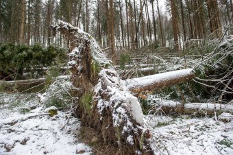 Több erdélyi megyében is erős szélre figyelmeztetnek a meteorológusok