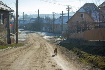 Romsilvás „faék” Maros és Hargita megye közt: rátelepszik a nyomvonalakra az állami erdészeti hivatal