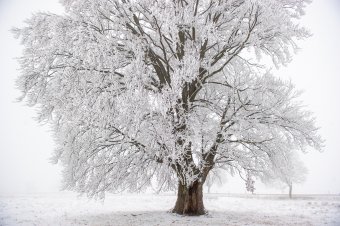 Fehér karácsonyunk lesz? – sűrű havazásra és heves szélre figyelmeztetnek a meteorológusok