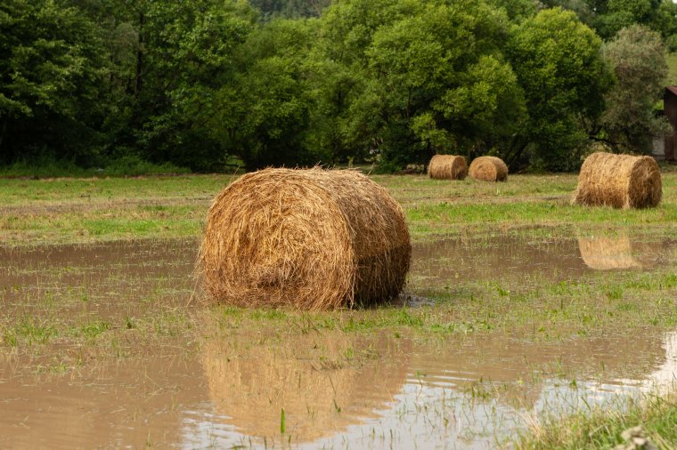 Másodfokú árvízkészültséget rendeltek el több erdélyi folyószakaszon