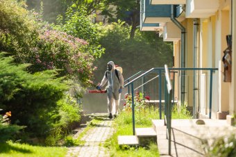 Mit tehetünk a gyorsabban szaporodó és napközben is csípő új szúnyogok ellen?