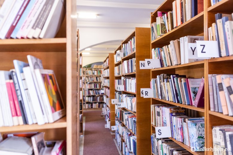 Elfogytak az olvasók, bezárnak a könyvtárak: újra fel kell találniuk magukat a szakemberek szerint