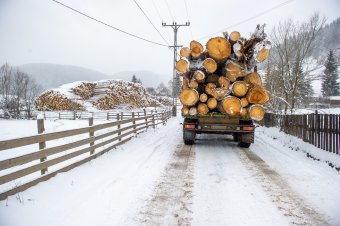 Betiltja a kormány a faanyagok kitermelőhelyekről történő, éjszakai szállítását