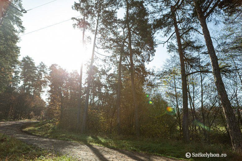 Jóváhagyta az Európai Bizottság, hogy 1 milliárd lejt kapnak a védett erdők romániai tulajdonosai