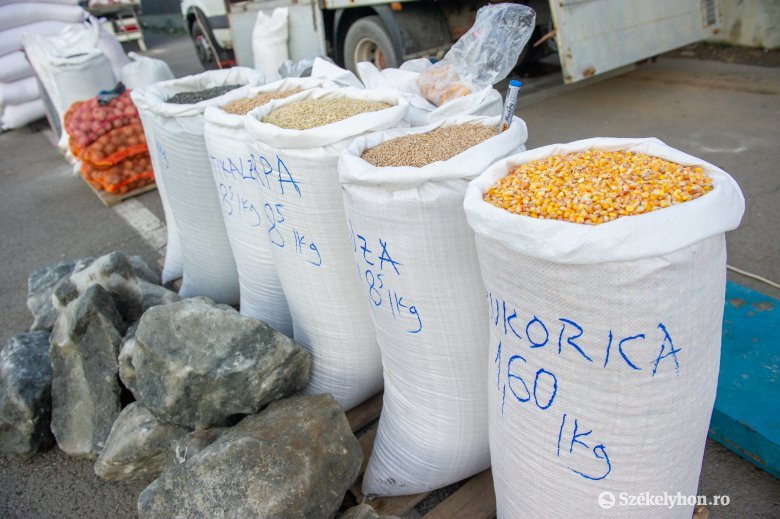 Meghosszabbítanák az ukrán gabonatermékek uniós behozatali tilalmát