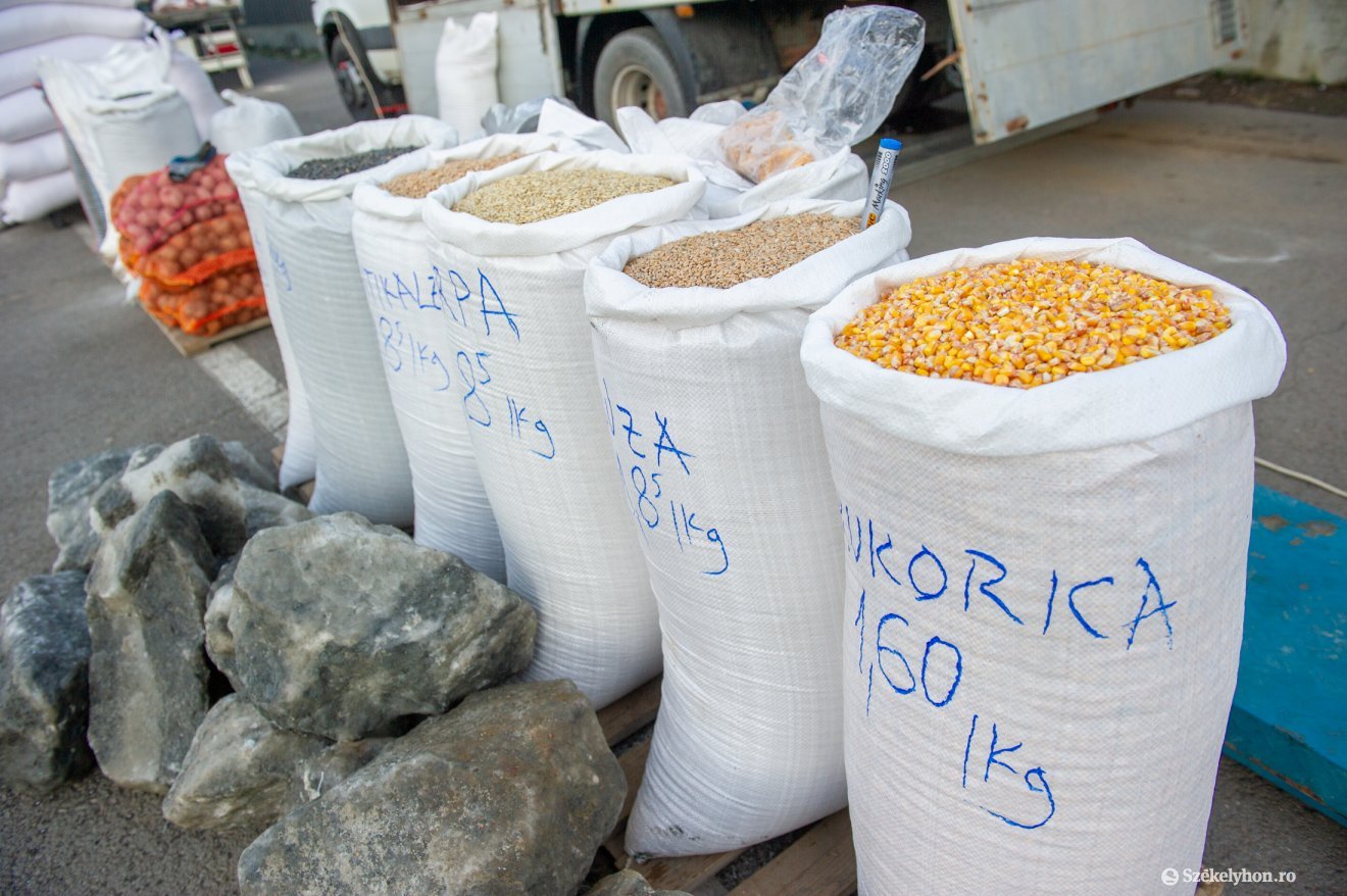 Zuhan a kenyérgabona világpiaci ára, ezt azonban az üzletekben még nem érzékeljük