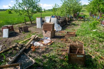 Szétzúzott méhkaptárakat, összetört gyümölcsfákat hagynak maguk mögött a medvék