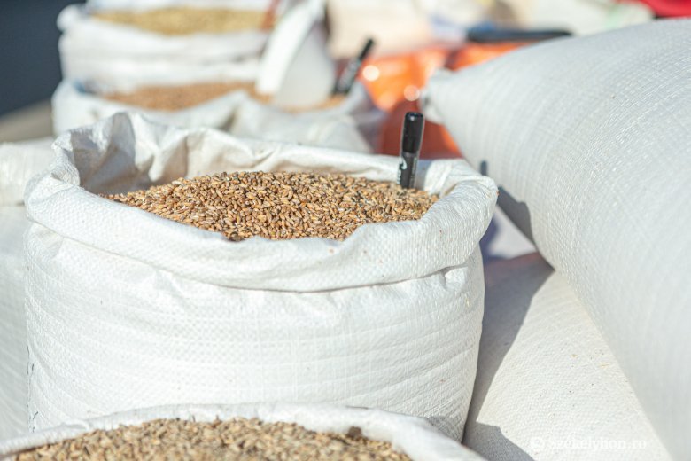 Mezőgazdasági miniszter: exportra is jut az idei romániai gabonatermésből