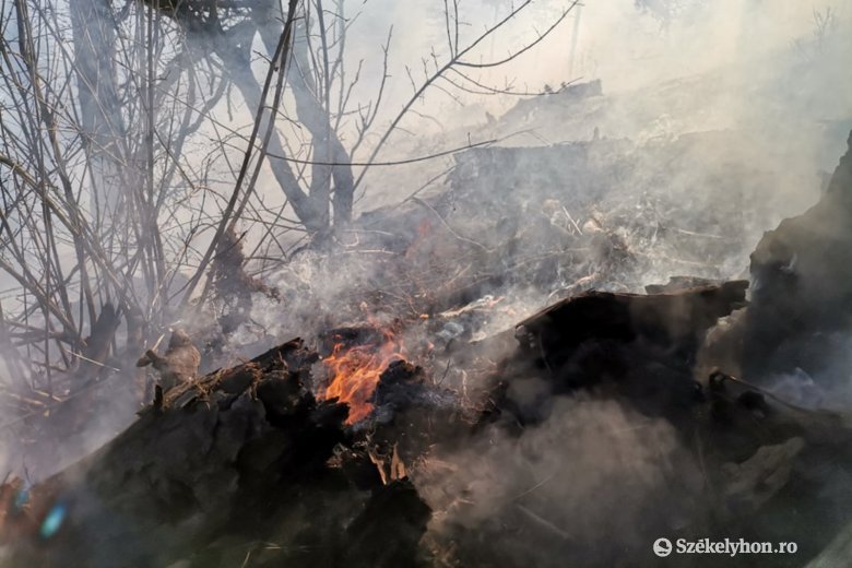 Spanyolországban erdőtüzek pusztítanak a Dél-Európát sújtó hőhullám miatt